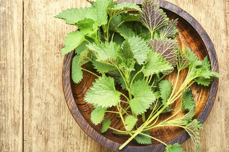 Fresh stinging nettle leaves on wooden table
