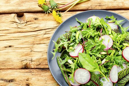 Fresh salad with mixed greens.Spring salad with radish,greens and dandelionの写真素材