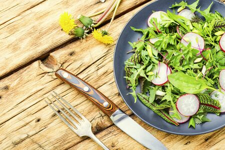 Fresh salad with mixed greens.Spring salad with radish,greens and dandelion.Healthy foodの写真素材