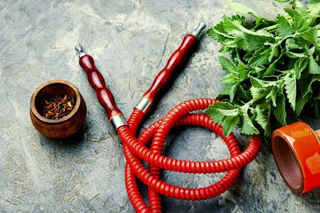 Oriental smoking shisha with tobacco with mint flavor.Turkish tobacco hookah.