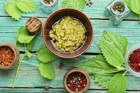 Homemade summer nettle leaf sauce.Appetizing herbal sauce for food.の写真素材