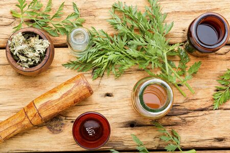 Extract or tincture from a wild carrots.Medicinal herbsの写真素材