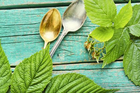 Healing herbal tea made from fresh raspberry foliage