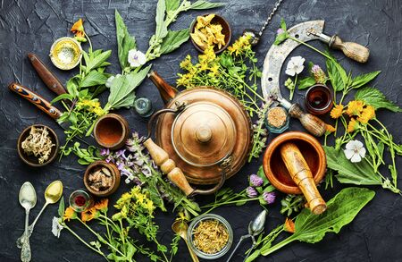Fresh medicinal,healing herbs.Alternative medicine herbal.Natural herbal medicineの写真素材