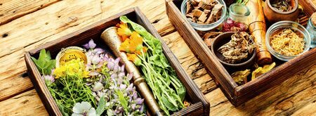 Fresh medicinal, healing herbs. Alternative medicine herbal. Herbal medicine and homeopathyの写真素材