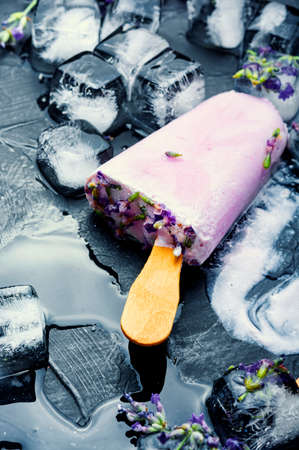 Natural summer dessert, ice cream with blooming lavender.