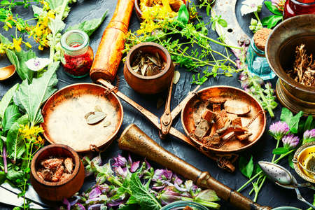 Fresh medicinal,healing herbs.Alternative medicine herbal.Natural herbal medicineの写真素材