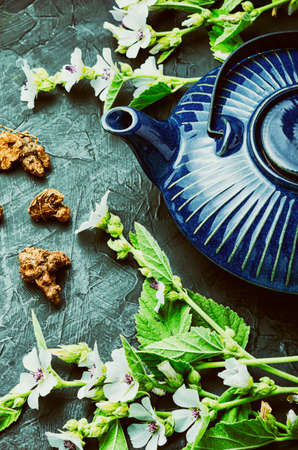 Healing herbal tea from the althaea root in a ceramic teapot.の写真素材
