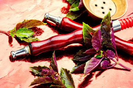 Mouthpiece of a smoking hookah with the aroma of herbs.Hookah on the basil.Close up.