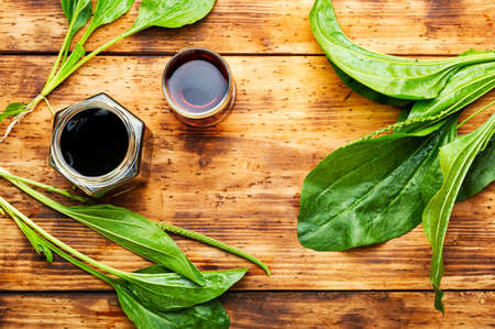 Medicinal tincture, tea, and plantain extracts. Medical herbs in herbal medicine.の写真素材