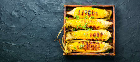 Tasty grilled corn cobs. Delicious grilled mexican corn.Copy spaceの写真素材