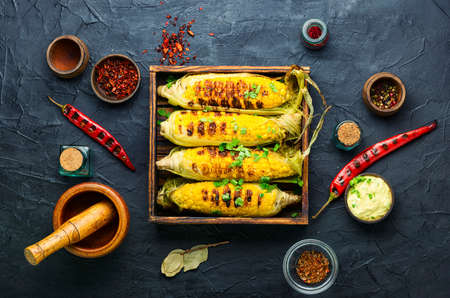 Grilled sweet corn with sauce and spicy.Summer vegan snackの写真素材