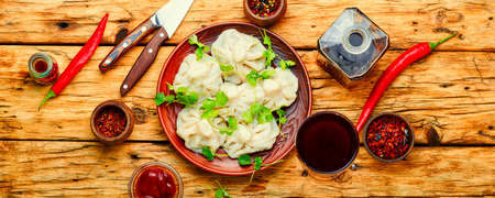 Georgian dumplings khinkali with meat, greens and tomato sauceの写真素材