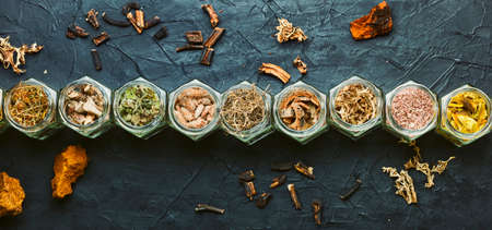 Large assortment of dried medicinal herbs, roots and barkの写真素材
