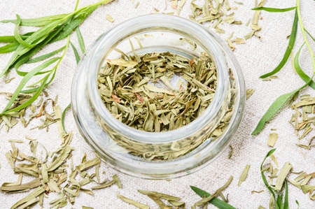 Tarragon or estragon.Artemisia dracunculus.Fresh and dry tarragon herbの写真素材