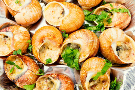 Escargots or snail with garlic butter and lime.Food backgroundの写真素材