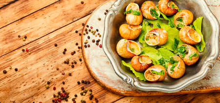 Tasty snails in vintage tray.Stuffed escargots.France foodの写真素材