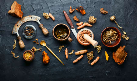 Herbal tea and a wide set of medicinal herbs, roots and bark.Herbal medicine.の写真素材