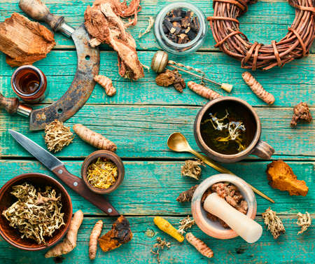 Herbal tea from medicinal herbs.Medicinal plants and roots in herbal medicine.の写真素材