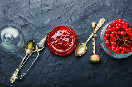 Glass jar with jam and fresh viburnum berriesの写真素材