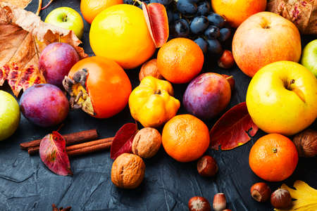 Large assortment of fruits, grapes and nuts.Autumn still lifeの写真素材