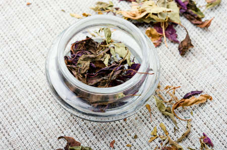 Dried natural basil spice. Dried basil leaves herbs in glass jarsの写真素材