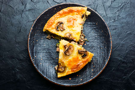 Pie with minced beef and mushrooms on plate. Piece of meat pieの写真素材