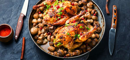 Appetizing little chicken or hen baked with mushrooms champignonsの写真素材