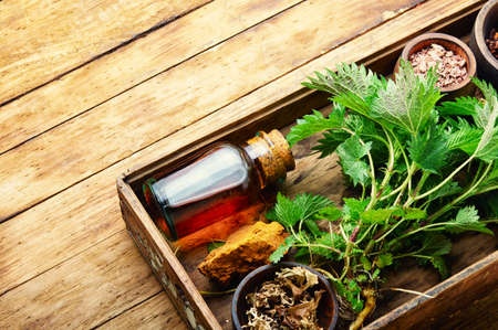 Fresh and dry healing herbs and medicinal plants.Herbal medicine, homeopathyの写真素材