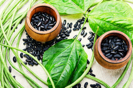 Vigna or cowpea pods and beans.Vegetable plant.Popular Chinese food.の写真素材