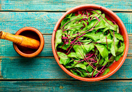 Fresh organic chard.Beet leaves or mangold.Top view