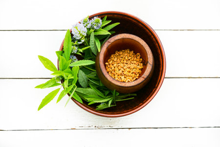Fenugreek seeds with fresh plant on white backgroundの写真素材
