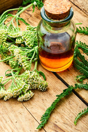 Yarrow tincture.Natural herbs medicine, medicinal herbs.Herbalism and herbal medicine.の写真素材