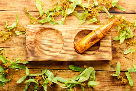 Fragrant linden in a wooden mortar and pestle. Flowers and leaves of linden. Herbal medicine.の写真素材