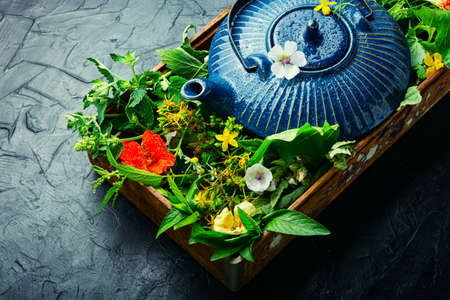Healing herbal tea. Teapot with tea made from fresh wild herbs. Herbal medicine. Herbal tea.の写真素材