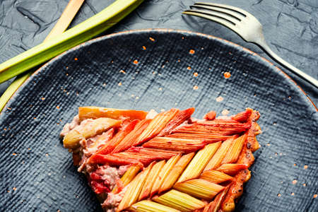 Summer homemade rhubarb pie. Classic rhubarb pie. Sweet foodの写真素材