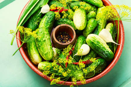 Plate of salted homemade cucumbers.Cooking process, canned cucumbers