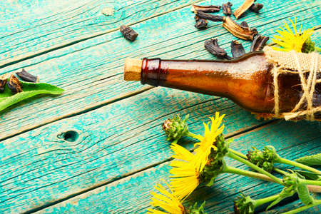 Healing tincture or mixture of elecampane roots. Elecampane in herbal medicine. Bottle with an elixir made from wild medicinal herbs.の写真素材