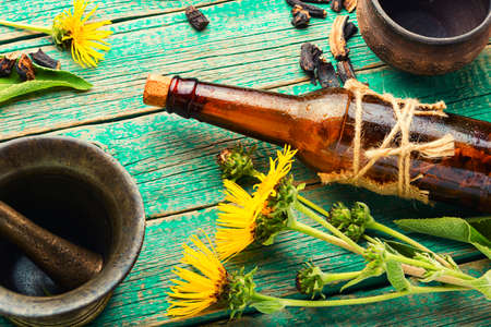 Healing tincture or mixture of elecampane roots. Elecampane in herbal medicine. Wild medicinal herbsの写真素材