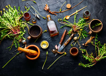 Healing herbs and herbal medicinal roots.Extract of dandelion.Taraxacum, medicinal plants.Dandelion root.の写真素材