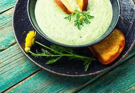 Puree soup, dietary zucchini and herb soup, with toastの写真素材