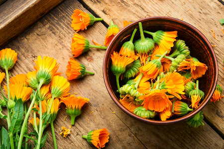 Fresh calendula flowers in herbal medicine.Marigold, healing herbs on rustic wooden background.Natural medicineの写真素材