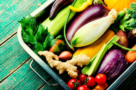 Collection of fresh summer and autumn vegetables. Assortment of raw vegetablesの写真素材