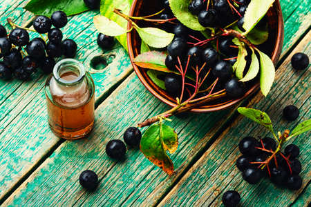 Bunches of fresh chokeberry.Aronia melanocarpa.Herbal medicine and homeopathyの写真素材