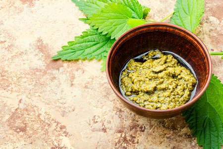 Homemade summer nettle leaf sauce.Appetizing herbal sauce for food.Space for textの写真素材