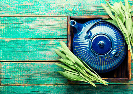 Tea with fragrant leaves of fresh sage. Salvia and herbal medicine.Copy spaceの写真素材