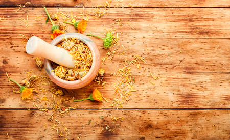 Calendula or marigold dry.Mortar with healing herbs.Herbal medicine.Space for textの写真素材