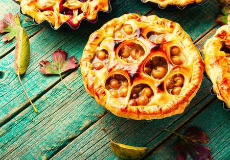 Various autumn pies with pear, apple, grapes and plum.Autumn homemade confectioneryの写真素材