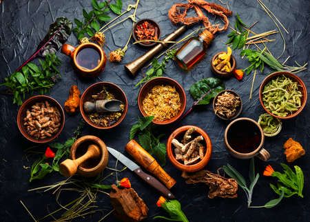 Medicinal herbs, plants and roots in alternative medicine.Herbal medicineの写真素材
