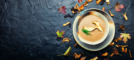 Homemade mushroom cream soup.Traditional autumn soup,space for textの写真素材